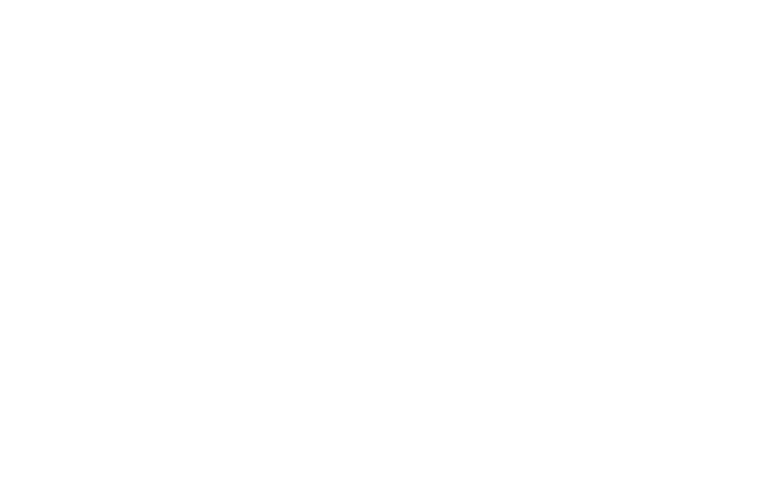 Instituto de las Mujeres Irapuatenses